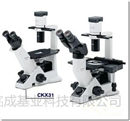 倒置显微镜CKX31-A11RC | 倒置显微镜CKX31-A11RC价格参数